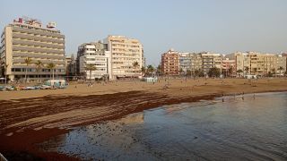 GC-Paseo Las Canteras (Las Palmas) 2026-207.jpg